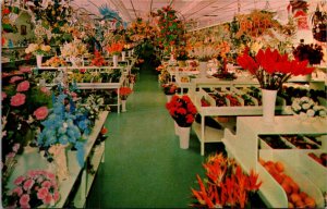 PC Eiss Permanent Flowers & Foliage Store St Petersburg Sarasota Venice Florida