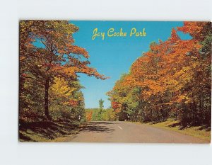 Postcard Autumn Splendor, Jay Cooke Park, Carlton, Minnesota