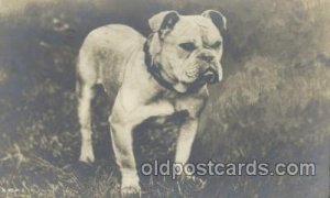 Bull Dog 1922 light crease left top corner tip and right edge, minor corner w...