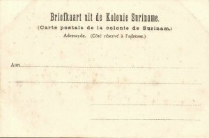 suriname, PARAMARIBO, Entrance Fort Amsterdam (1899)