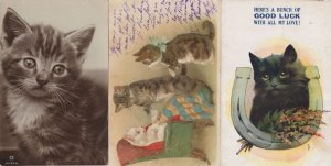 Cats Visiting Elderly Ill Grandma Cat Antique French 3x Postcard