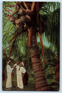 Cuba Postcard Sailors Drinking in Cocoanut Grove c1910 Antique Unposted