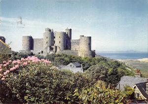 B102081 harlech castle   wales