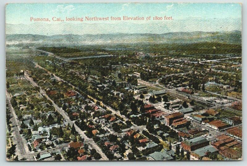 Pomona California~Aerial View Northwest @ 1800 Feet~Homes~Businesses~c1910