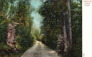 Vintage Postcard Drive Along the Forest Trees Trail Roadway Lenox Massachusetts