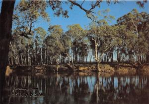 B44581 Leeton NSW  australia