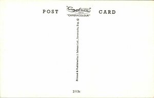 VINTAGE POSTCARD DEVIL'S PUNCHBOWL & DEVIL'S BRIDGE WATERFALL HAMILTON ONTARIO