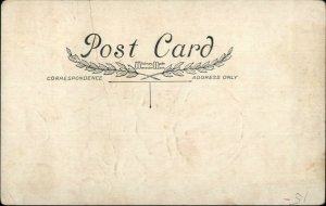 Halloween Pumpkin Head Girl Owls Spider Web Whitney Postcard