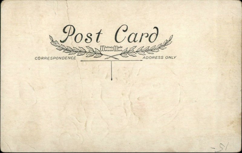 Halloween Pumpkin Head Girl Owls Spider Web Whitney Postcard