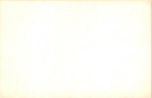 N.Y. Central & Hudson River R.R Club Train Railroad, Train Postcard