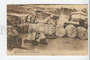 439401 AFRICA Ivory Coast Sawmilling in Grand Bassan Vintage postcard