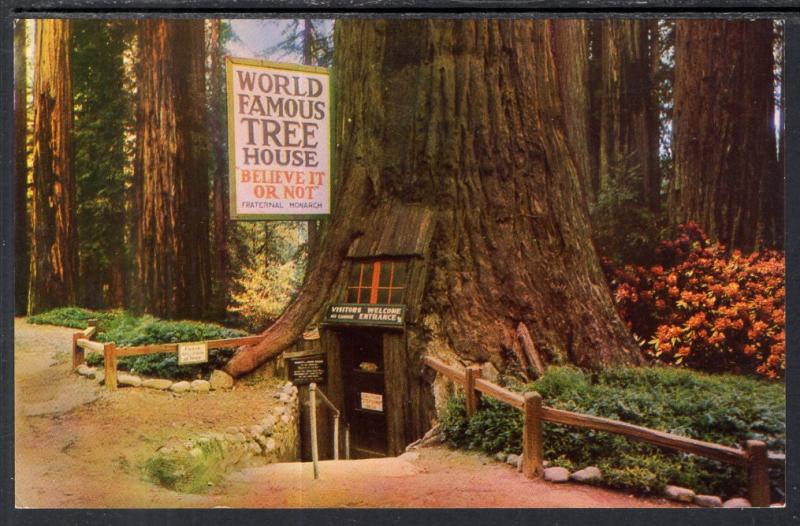 World Famous Tree House,Tree House Park,Redwood Highway,CA