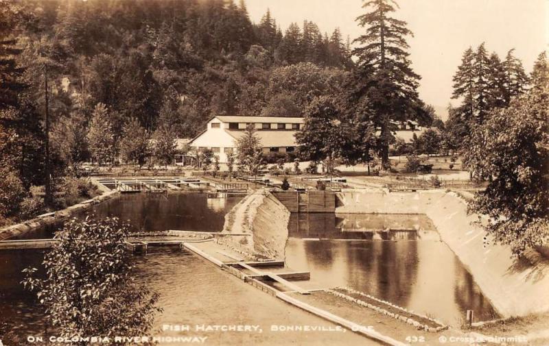 Bonneville Oregon Fish Hatchery Real Photo Antique Postcard K36036