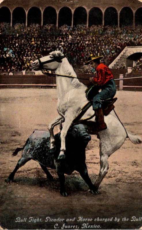 Corrida Bull Fight Picador and Horse Chraged By The Bull Juarez Mexico 1913