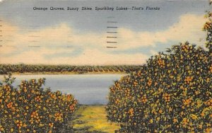 Orange Groves, Sunny Skies, Sparkling Lakes Misc, Florida