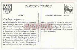 COPY Lille Dog team Red Cross