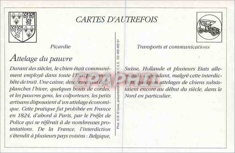 COPY Lille Dog team Red Cross