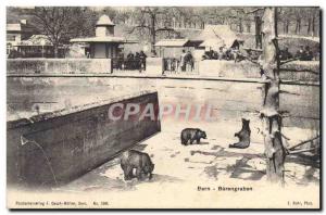 Postcard Old Bear Bern Barengraben