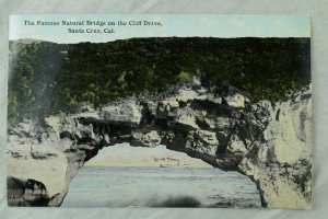 C.1910 Famous Natural Bridge on the Cliff Drive, Santa Cruz, Calif. Postcard P61