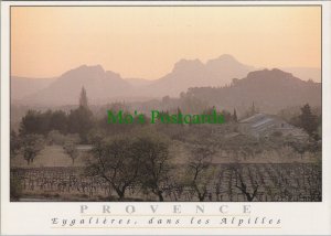 France Postcard - Provence, Eygalieres, Dans Les Alpilles   RR15296