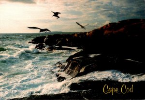 Massachusetts Cape Cod Seascape With Sea Gulls