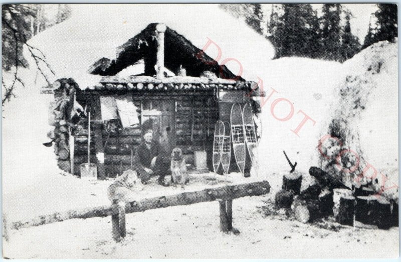 c1950s Chulitna, AK Fur Trapper Man & Dogs Cabin Railroad Winter 1928 Photo A145