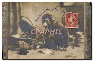 Old Postcard Monkey