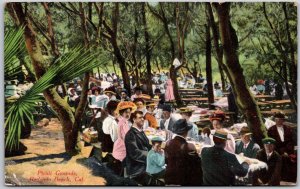 Redondo Beach California CA, 1913 Picnic Grounds, Gathering Under Tree, Postcard