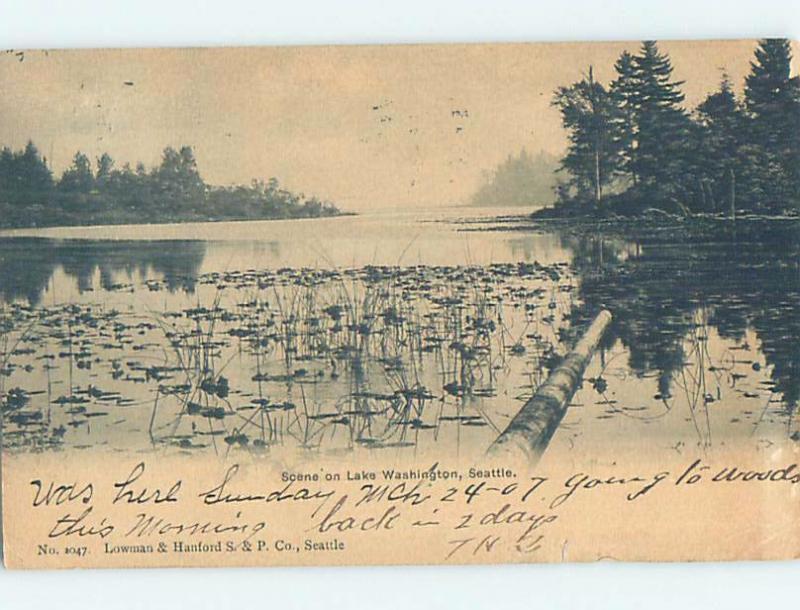 Pre-1907 LAKE SCENE Seattle Washington WA A1051