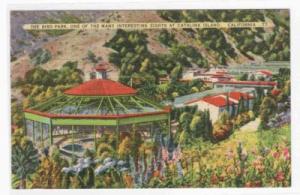 Bird Park Catalina Island California linen postcard