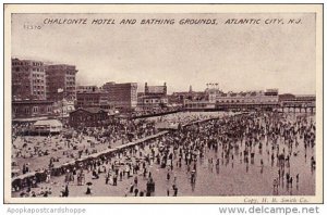 New Jersey Atlantic City Chalfonte Hotel And Bathing Grounds