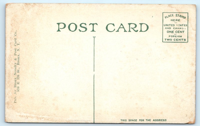 Rye NY Beach Park Pavilion Playland Amusement Park Postcard