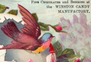 1880s Winston Candy Fine Chocolates & Bonbons Fab! F152