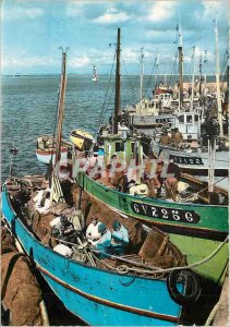 Postcard Modern Britain Loctudey Pecheurs port PREPARING leus meal Charter