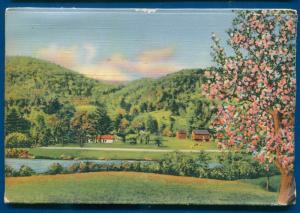 Cassville Missouri mo linen souvenir roaring river state park postcard folder 