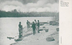 Massachusetts Taunton Seining Herring Taunton River