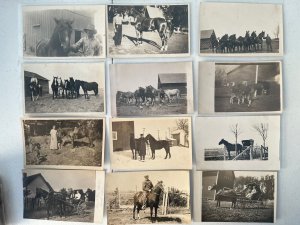 120x Horse Wagon Buggy Sleigh c1910 Antique RPPC Photo Postcard Collection Lot