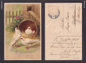 Germany vintage postcard 1910s white doves nest flowers friendship greetings