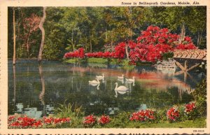 Alabama Mobile Scene In Bellingrath Gardens Curteich