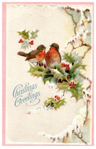 Christmas Greetings Birds & Holly Embossed Postcard Printed Germany 0590