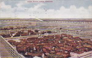 Illinois Chicago Union Stock Yards Cattle Pens 1908