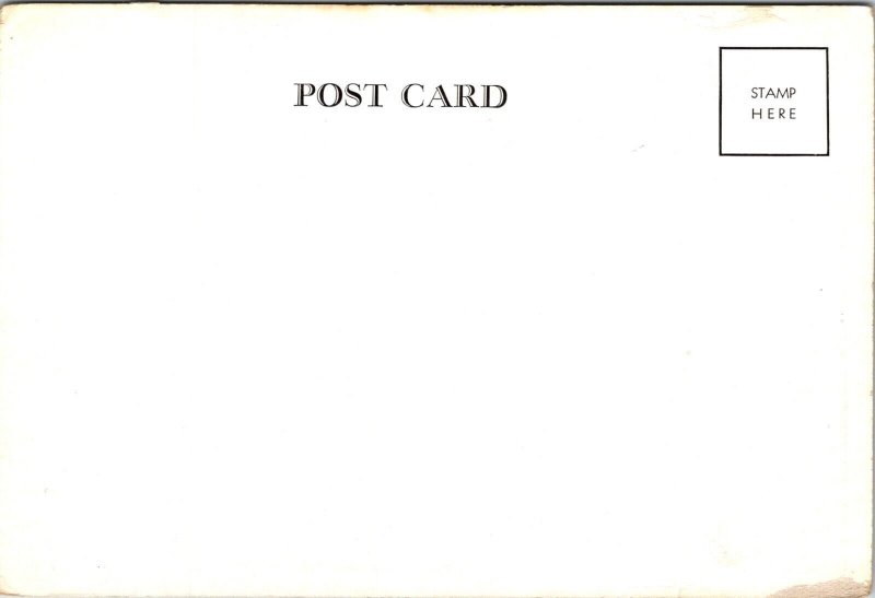 Gloucester Fishing Boats Anthony Thieme Postcard