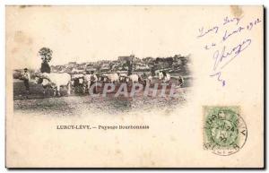 Postcard Old Lurcy Levy Bourbonnais Landscape Cows