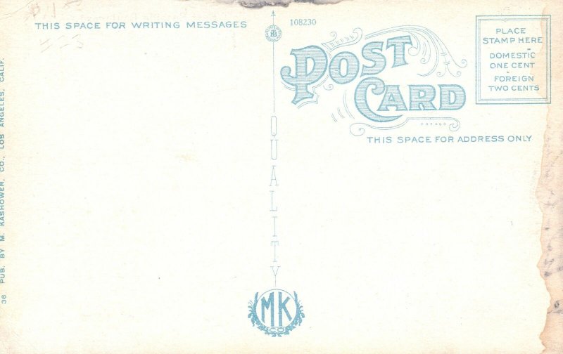 Vintage Postcard 1910's East Seaside Boulevard Long Beach California CA