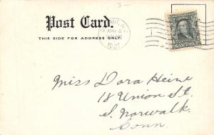 Summit New Jersey~New England Avenue~Drive & Sidewalk Past Homes~1907 Postcard