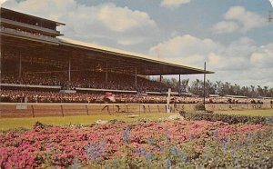 Miami, FL USA Horse Racing Unused 