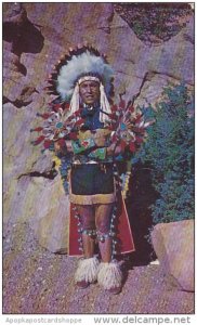 North American Indian Chief In Full Dress Costume