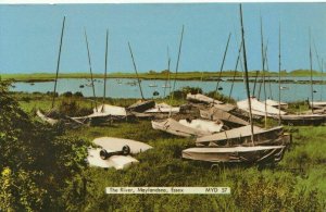 Essex Postcard - The River - Maylandsea - Ref 18536A