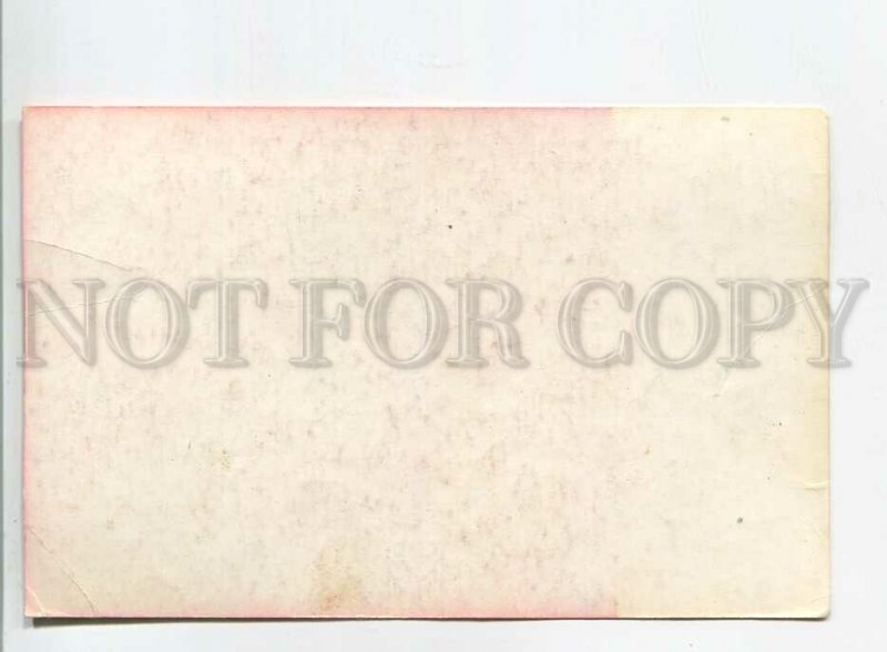 181742 collie by Glikman old postcard