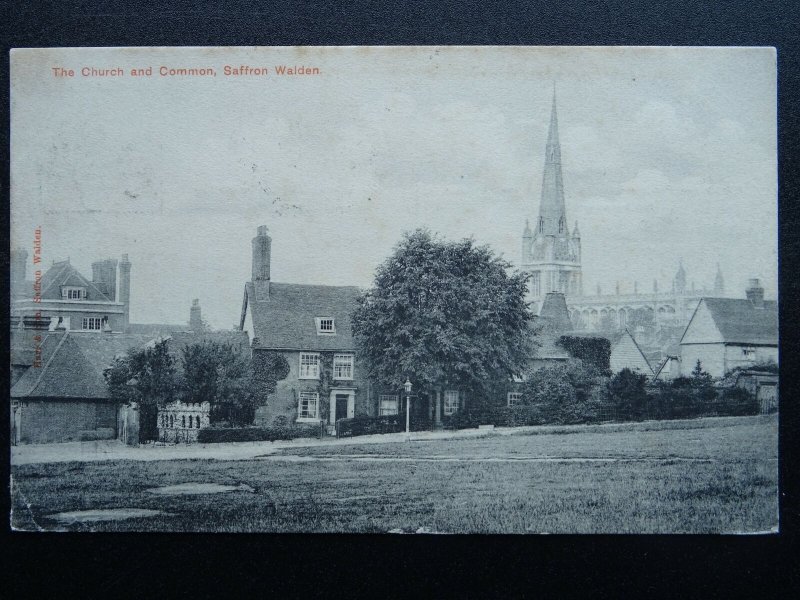 Essex SAFFRON WALDEN The Church & Common c1905 Postcard by Hart & Son 